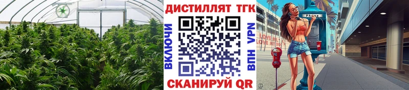 Дистиллят ТГК жижа Нерехта
