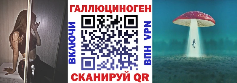 Галлюциногенные грибы Psilocybe Нерехта